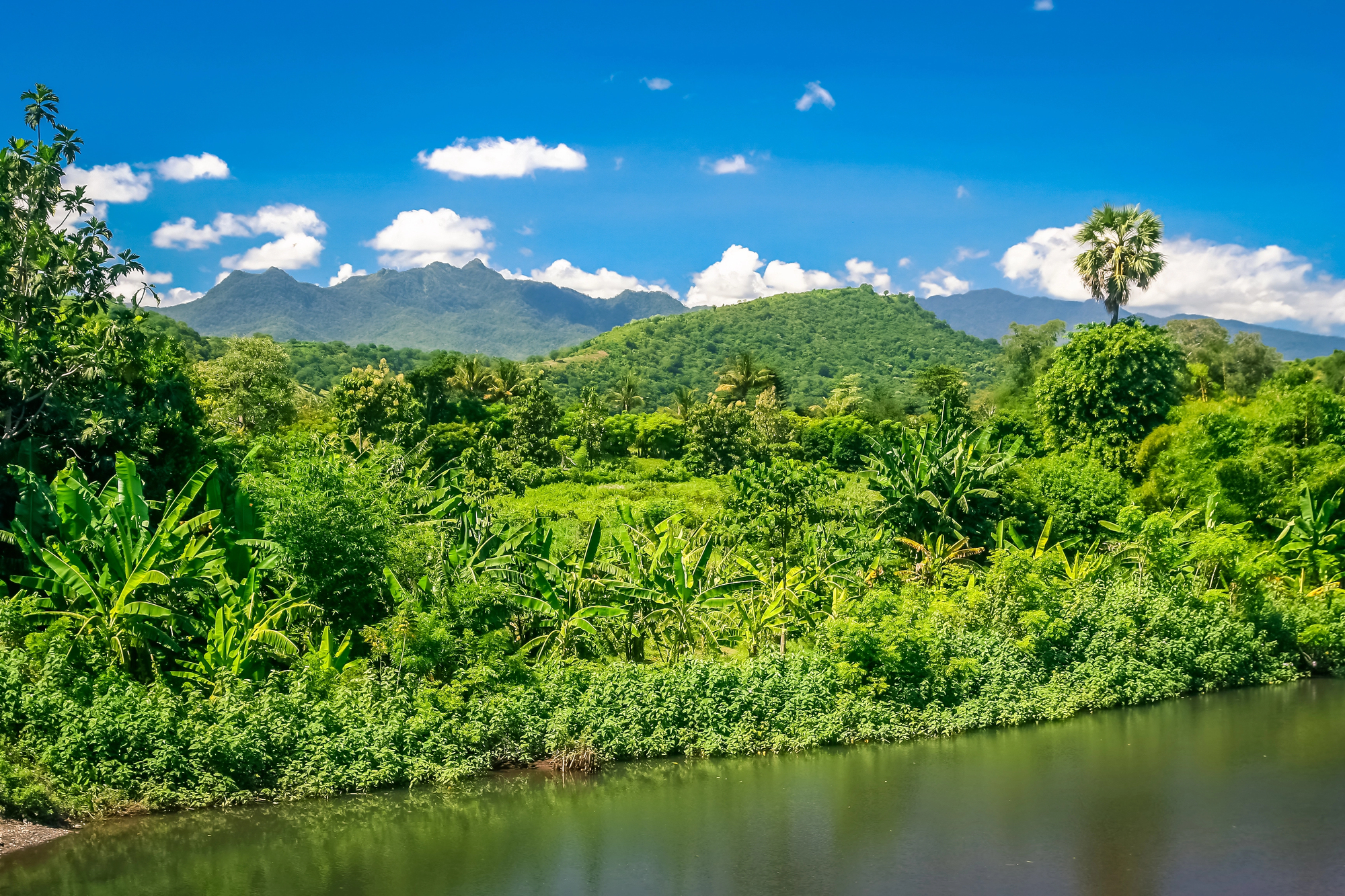 ranomafana-national-park-madagascar.jpg